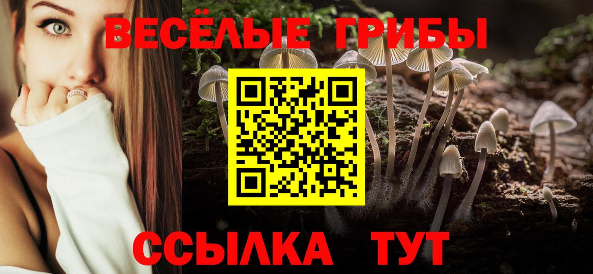 сколько стоит  Вход с VPN  Железногорск  Галлюциногенные грибы Cubensis 